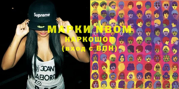 бошки Инта